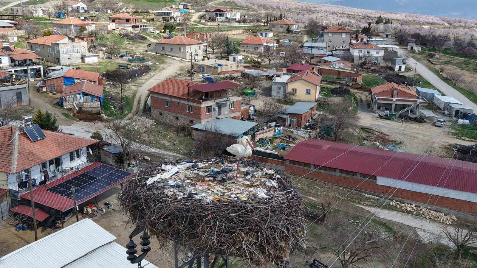 sadik misafir leylek 10 yildir yolunu sasirmiyor 1 VDUQUGZ7