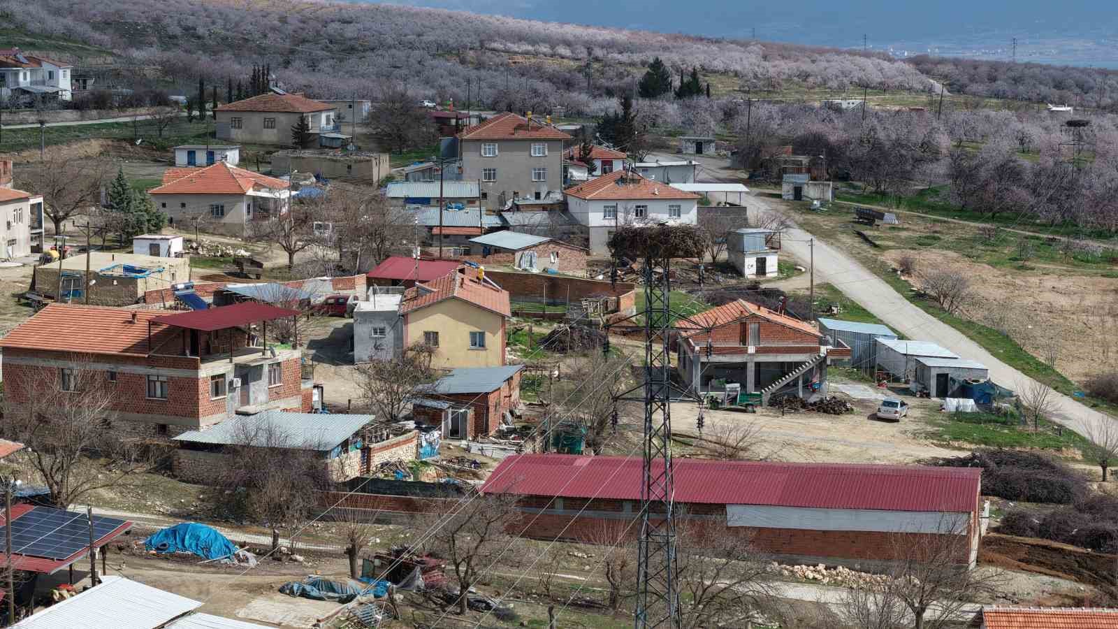 sadik misafir leylek 10 yildir yolunu sasirmiyor 3 YQjl8tjN