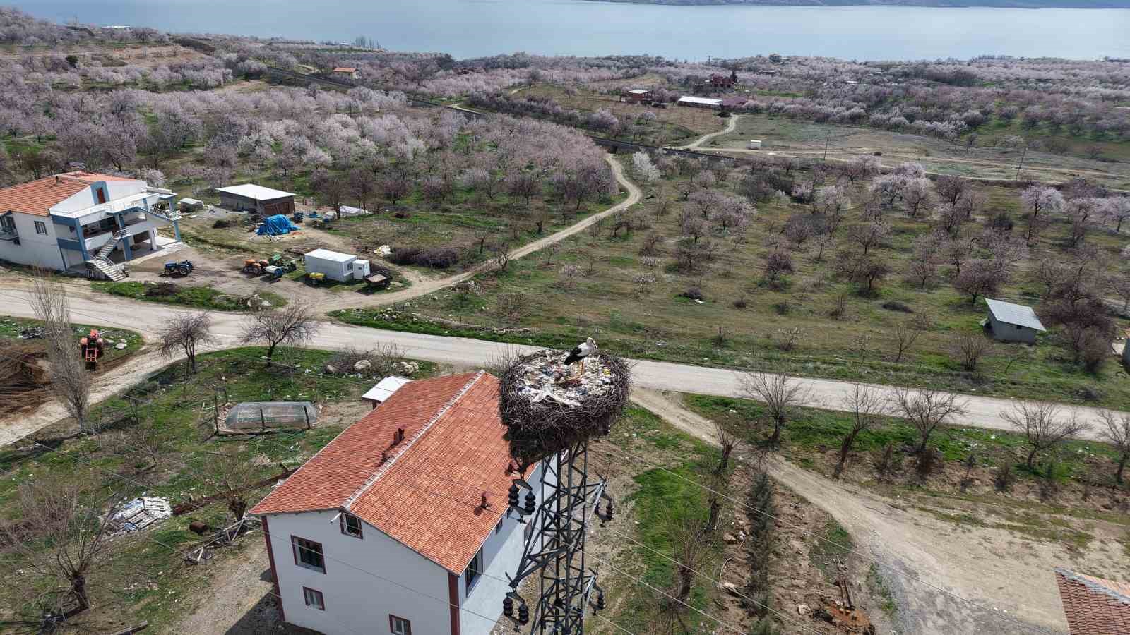 sadik misafir leylek 10 yildir yolunu sasirmiyor 5