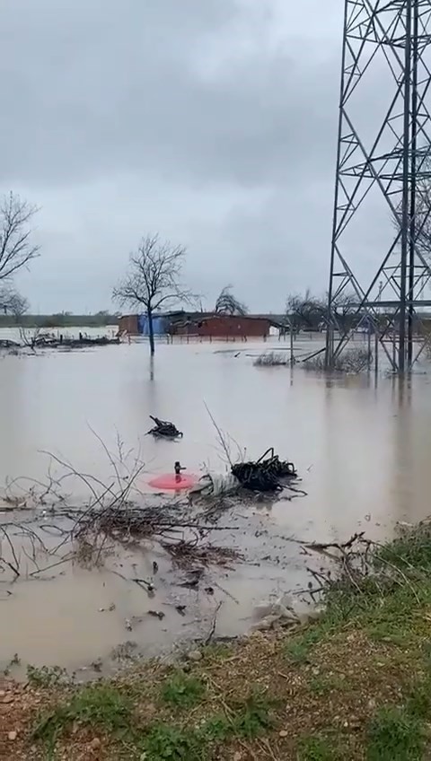 saganak bursayi vurdu tarlalar gole dondu hayvanlar mahsur kaldi 0 BYYeJU8P