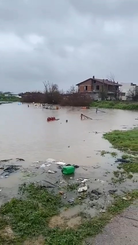 saganak bursayi vurdu tarlalar gole dondu hayvanlar mahsur kaldi 1 SY2r1A5T