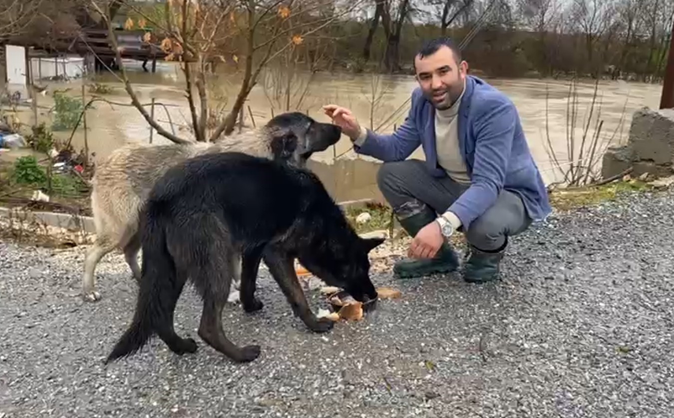 saganak sonrasi evde mahsur kalan 4 kopek is makinesiyle kurtarildi 1 e5hS2EBd