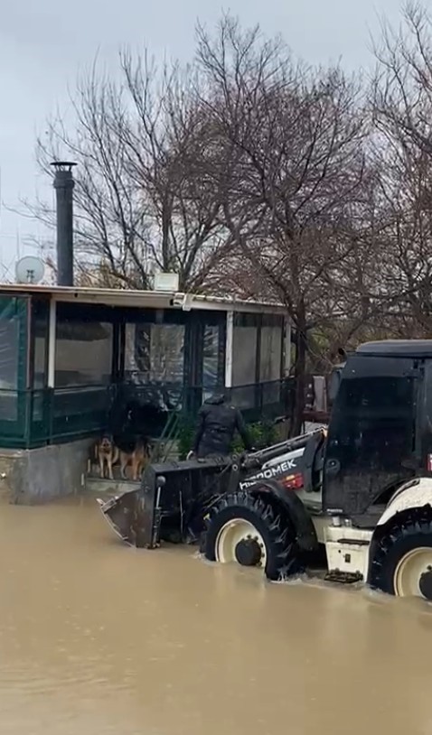 saganak sonrasi evde mahsur kalan 4 kopek is makinesiyle kurtarildi 3 gv7dkiBb