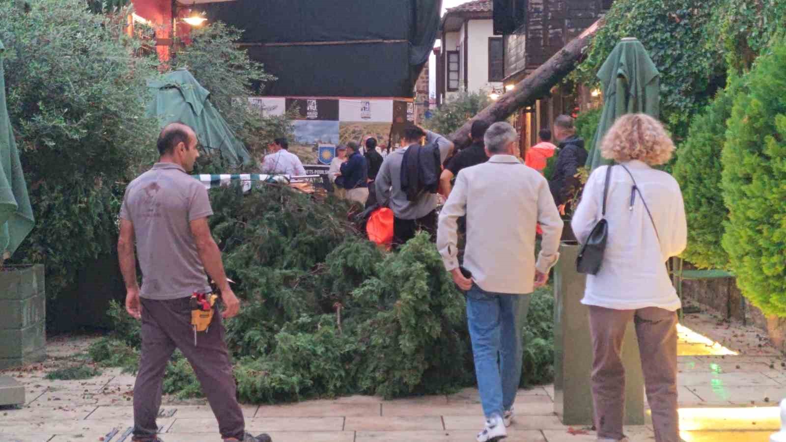 saganak ve ruzgar aniden bastirdi devrilen agacin altinda kalan 3 kisi yaralandi 10 UZcFnVtN