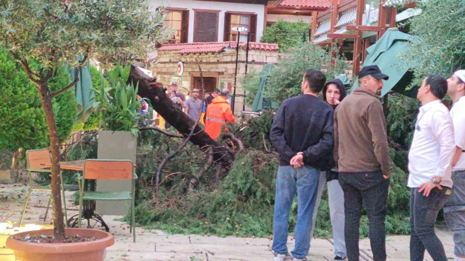 saganak ve ruzgar aniden bastirdi devrilen agacin altinda kalan 3 kisi yaralandi 15 EwNHBlOc