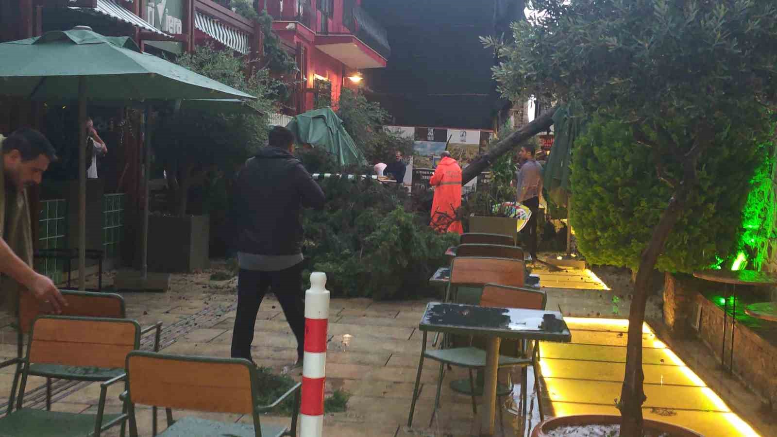 saganak ve ruzgar aniden bastirdi devrilen agacin altinda kalan 3 kisi yaralandi 16 nIMmpdyr