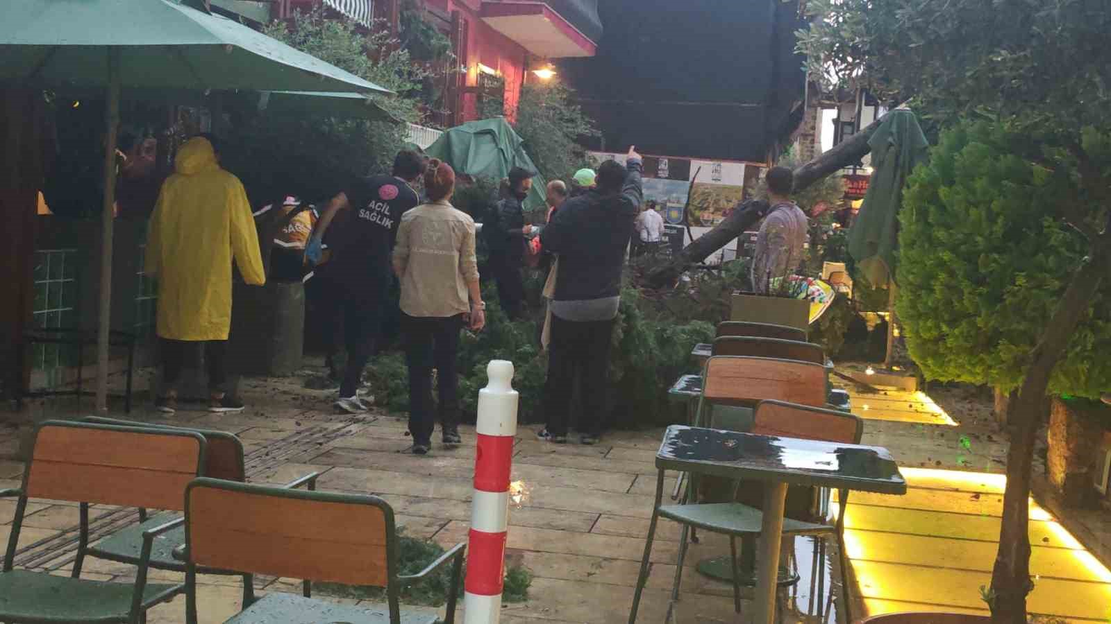 saganak ve ruzgar aniden bastirdi devrilen agacin altinda kalan 3 kisi yaralandi 17 u5dHHaZe