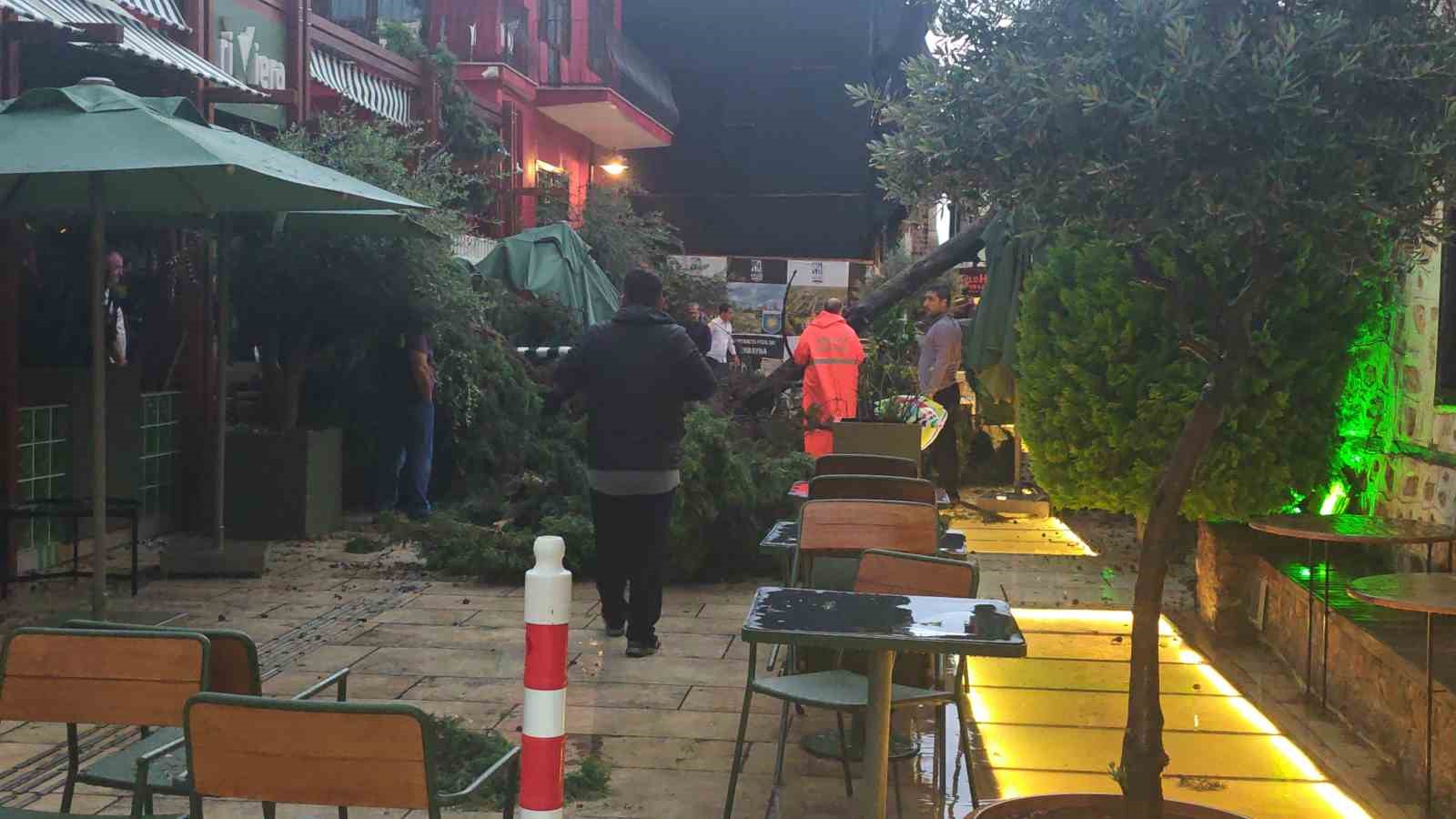 saganak ve ruzgar aniden bastirdi devrilen agacin altinda kalan 3 kisi yaralandi 20 VcUnH8ff