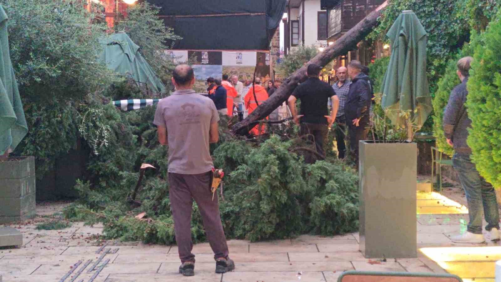 saganak ve ruzgar aniden bastirdi devrilen agacin altinda kalan 3 kisi yaralandi 3 C54DneEF