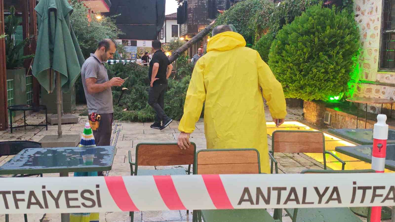 saganak ve ruzgar aniden bastirdi devrilen agacin altinda kalan 3 kisi yaralandi 5 XG84DQzU