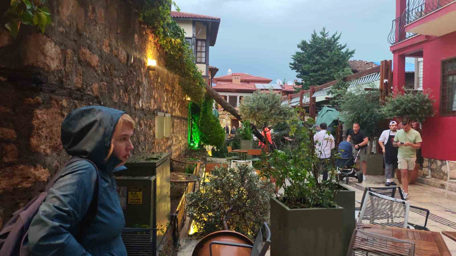 saganak ve ruzgar aniden bastirdi devrilen agacin altinda kalan 3 kisi yaralandi 8 Y7NNTDfd