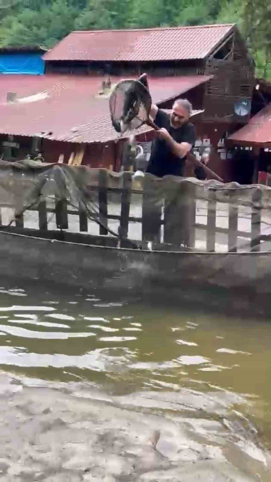 saganak yagisin vurdugu alabalik tesisinde cok sayida balik telef oldu 1 atmqc533