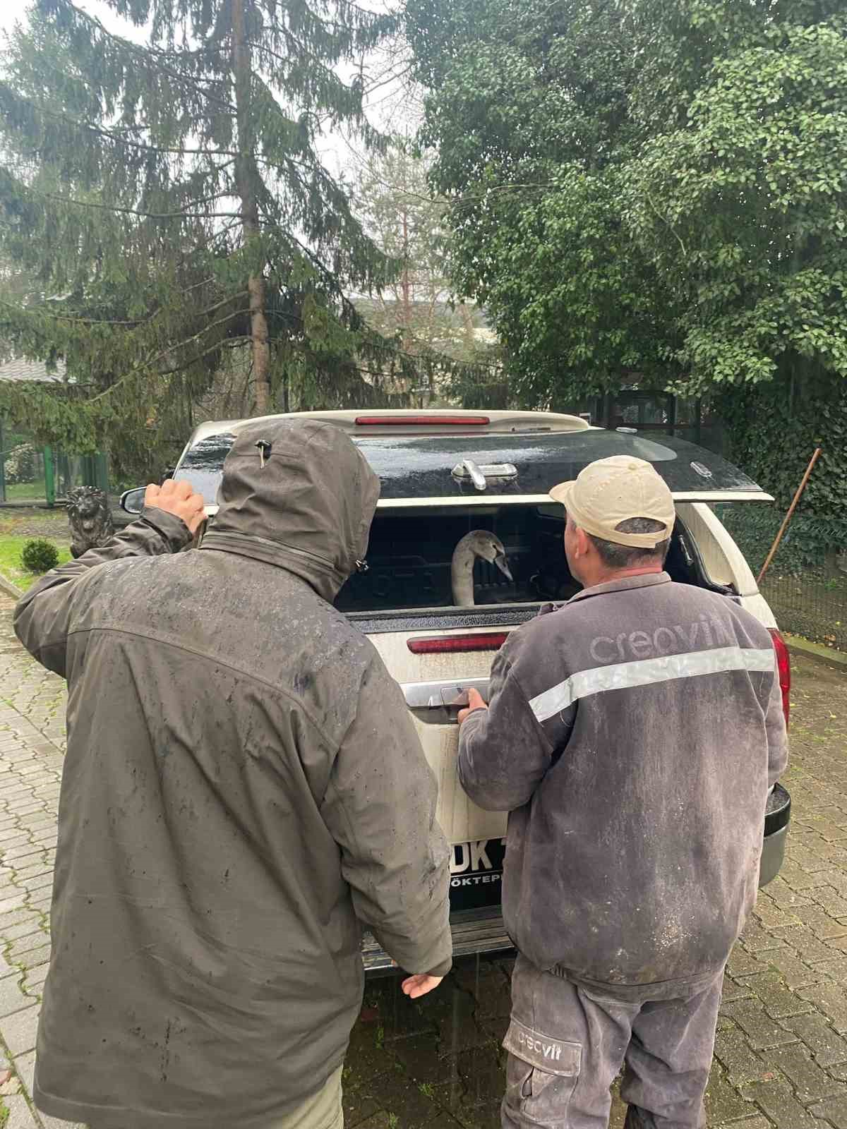 sahil kenarinda bulunan kugu koruma altina alindi 4 bMau27fu