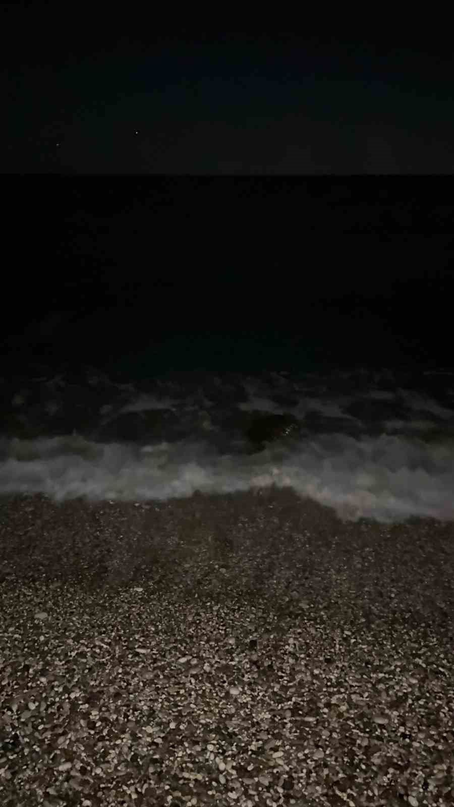 sahilin davetsiz misafiri dev caretta caretta 3 cVwj725z