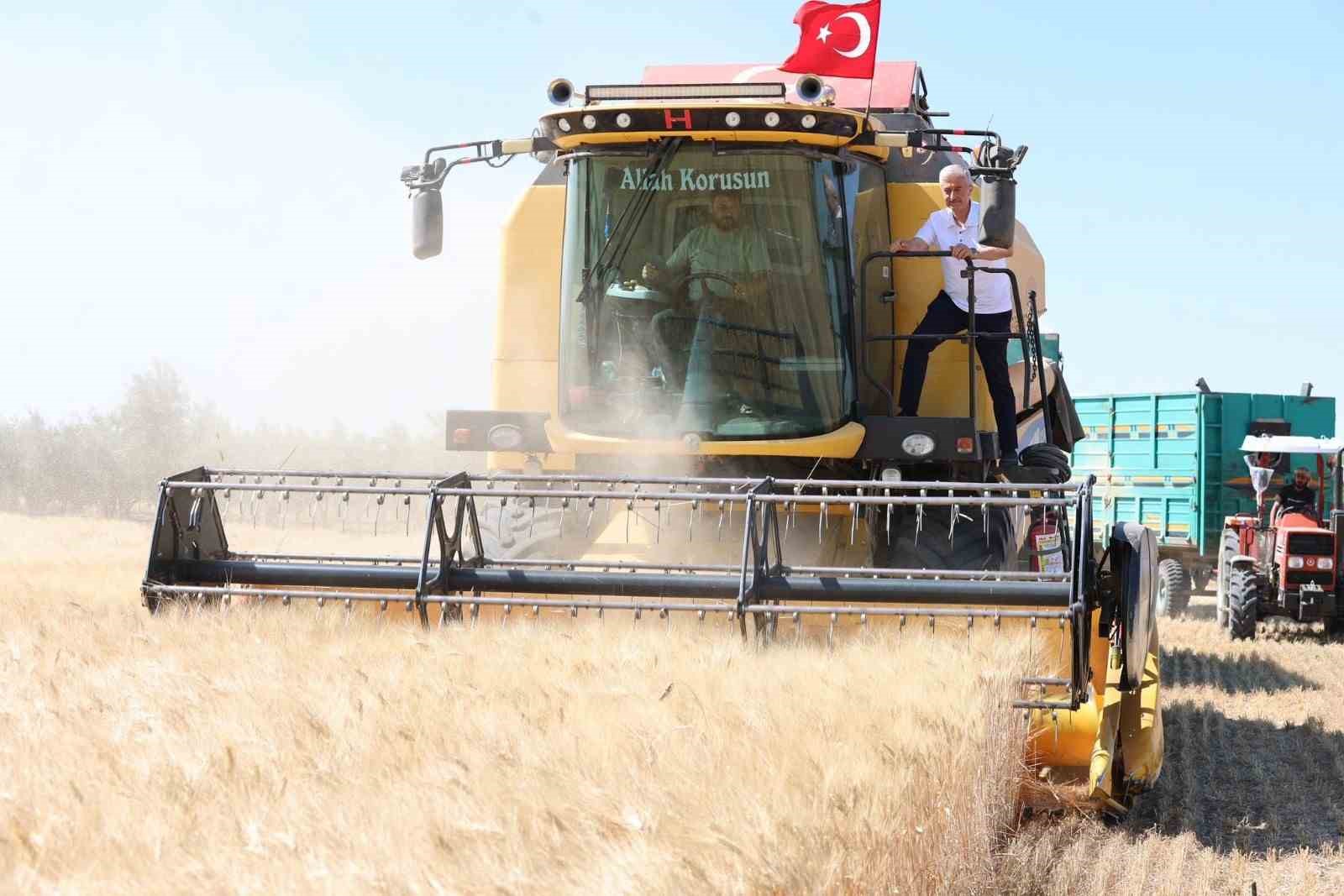 sahinbeyde ciftciler bugday hasadindan memnun 0 gfORnrXl