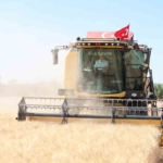 sahinbeyde-ciftciler-bugday-hasadindan-memnun-fYyL3OCq.jpg