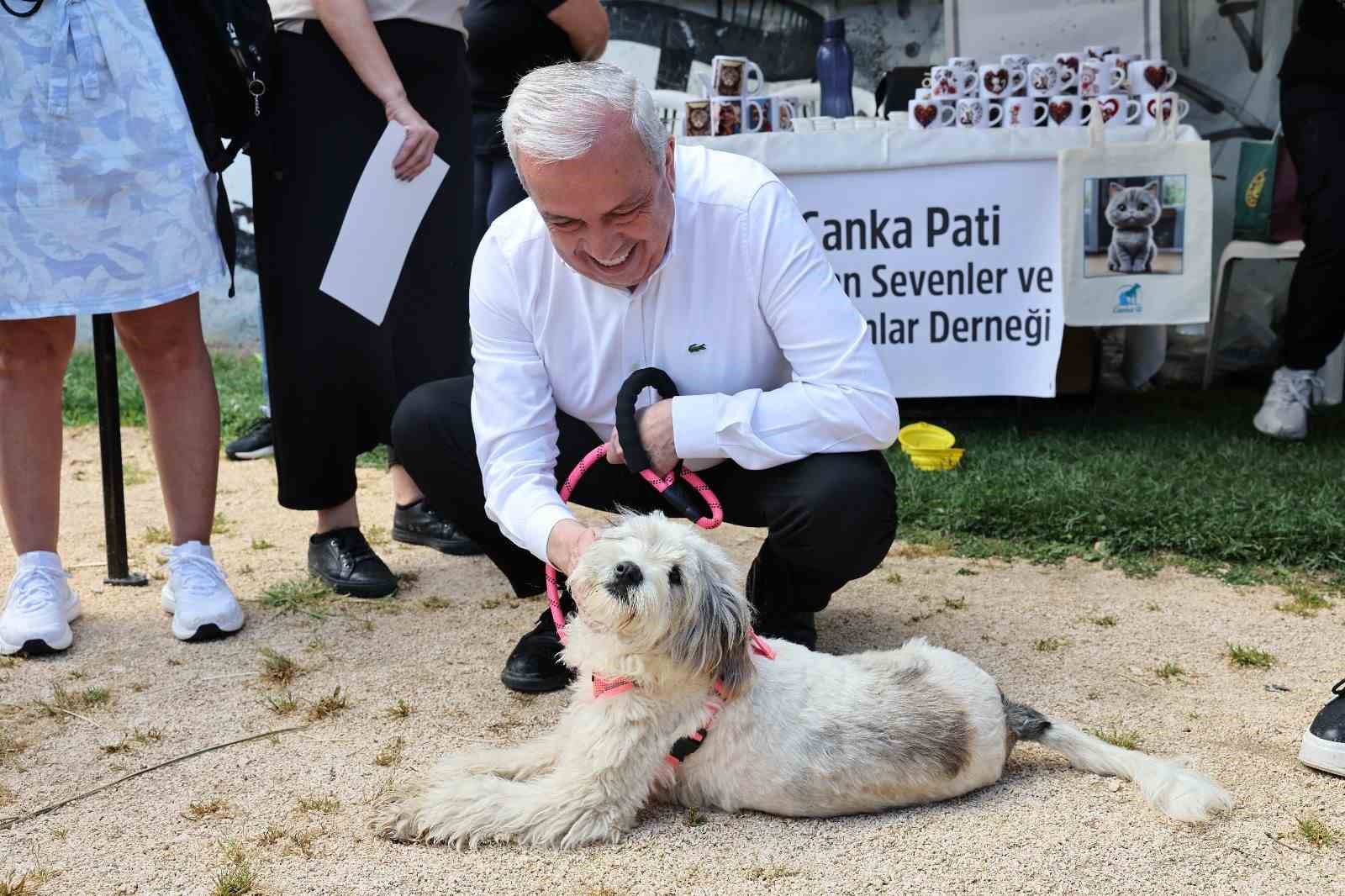 sahiplendirme senliginde can dostlara yeni yuva 2 eWPzMmJC