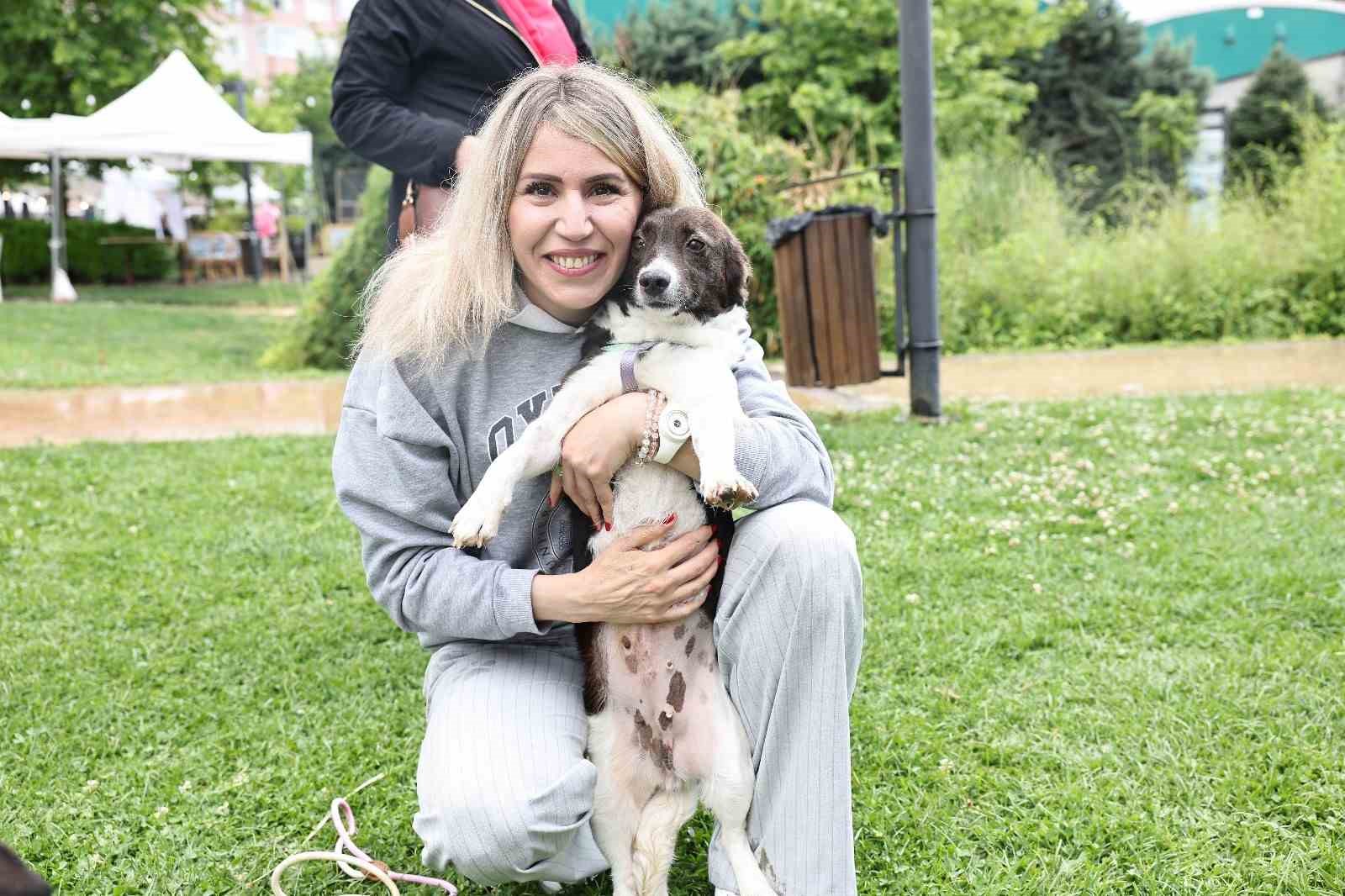 sahiplendirme senliginde can dostlara yeni yuva 3 Mjpzg94T