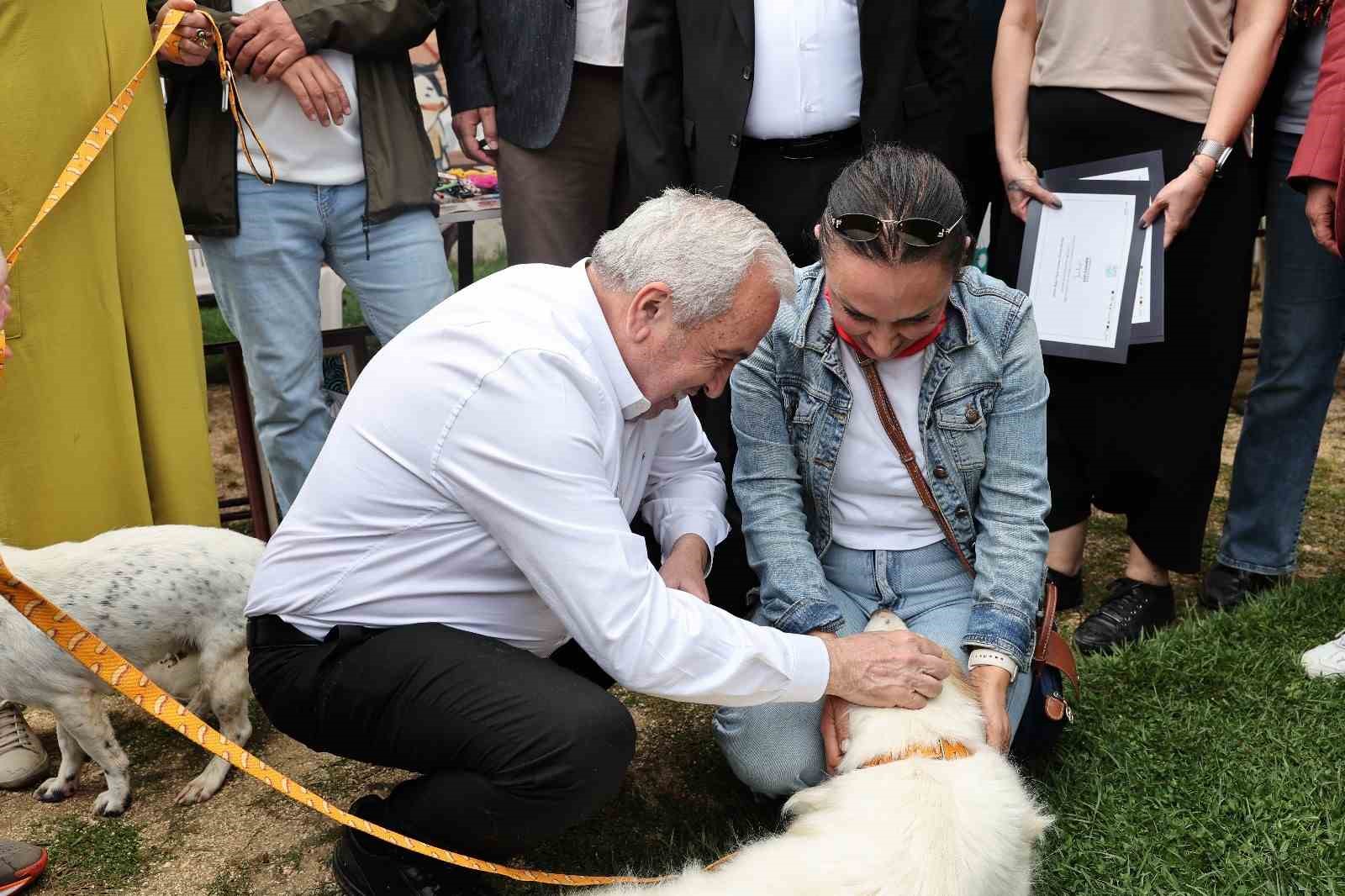 sahiplendirme senliginde can dostlara yeni yuva 4 DQIPUaRv
