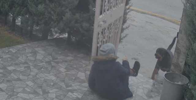 Sahipsiz köpeklerin saldırısına uğrayan kadını kurtaran Nurten Güven: "Biz olmasaydık kadının mücadelesi zor olacaktı" 5 sahipsiz kopeklerin saldirisina ugrayan kadini kurtaran nurten guven biz olmasaydik kadinin mucadelesi zor olacakti yfTADj7Y