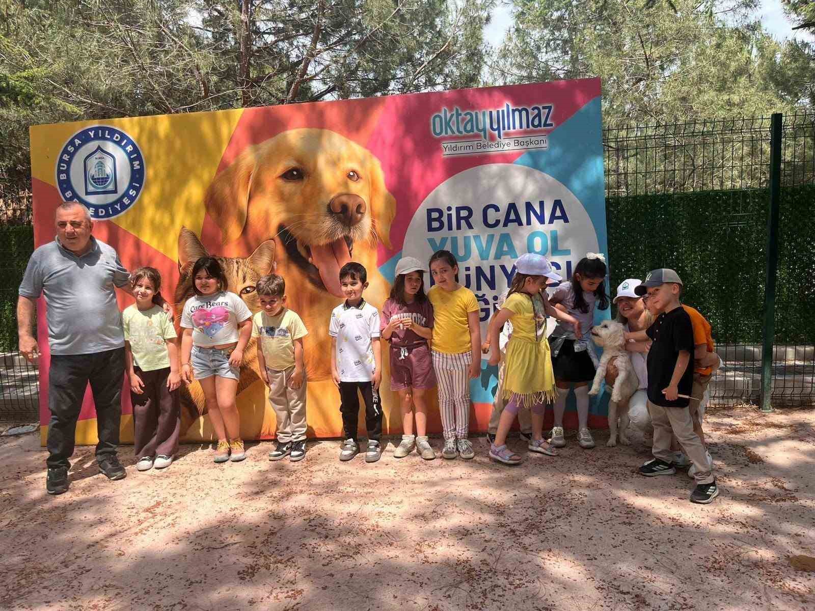 Sahipsiz sokak hayvanları tedavi merkezi ve doğal yaşam alanı, öğrencileri ağırladı 4 sahipsiz sokak hayvanlari tedavi merkezi ve dogal yasam alani ogrencileri agirladi 0 FWVrh2kG