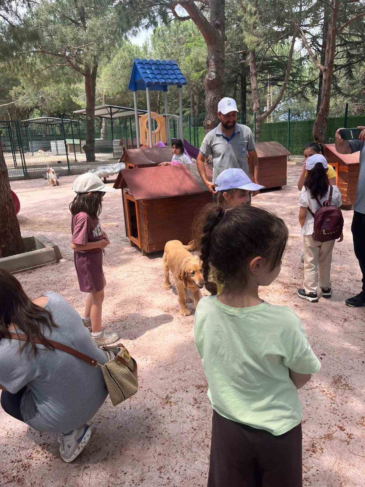 Sahipsiz sokak hayvanları tedavi merkezi ve doğal yaşam alanı, öğrencileri ağırladı 5 sahipsiz sokak hayvanlari tedavi merkezi ve dogal yasam alani ogrencileri agirladi 1 1dywIIf3