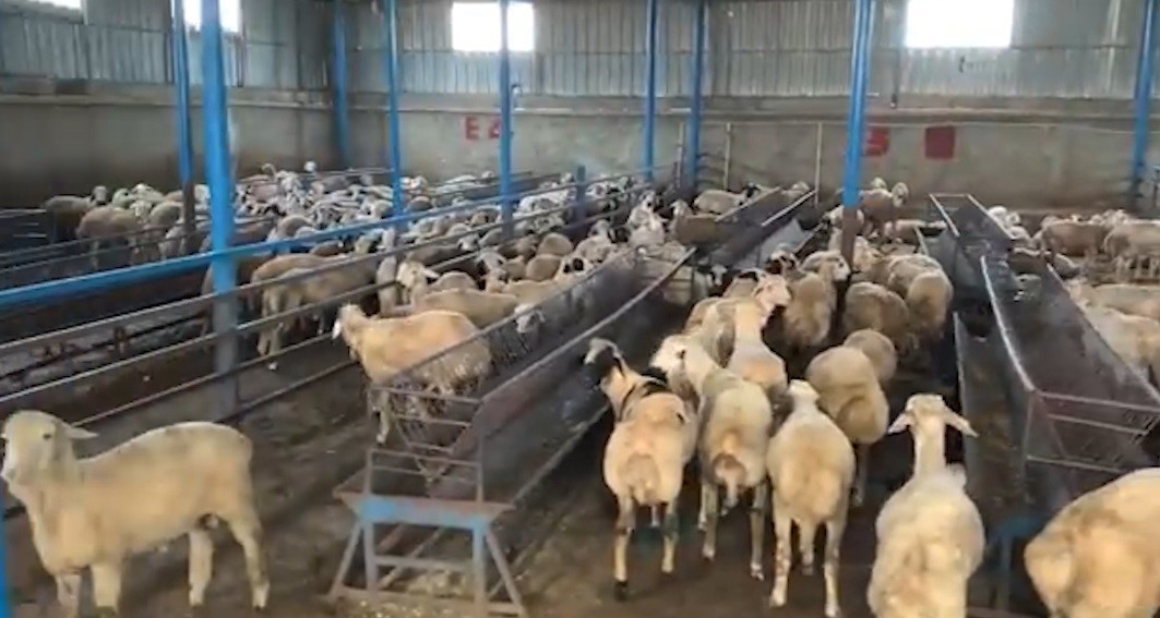 sahte banka dekontlariyla 14 milyon tllik vurgun 3 YF4KEIad