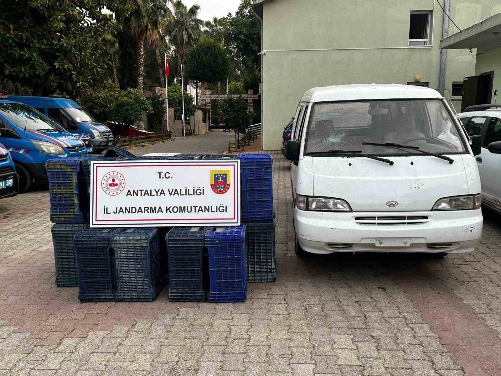 sahte plakayla 150 adet sebze kasasi caldilar jasattan kacamadilar 1 66Kd6sPe