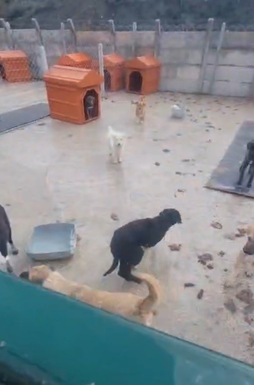 sakarya valiliginden iki ilcedeki barinak goruntulerine iliskin aciklama 2 HIXRG5Iq