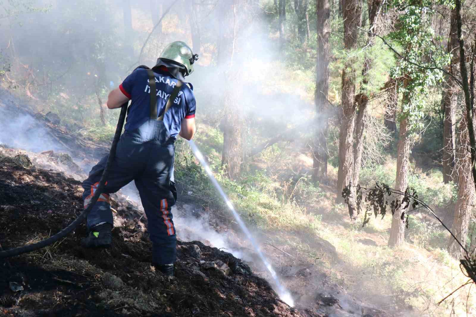 sakaryada agaclik alanda korkutan yangin 1 QRJPVKuL