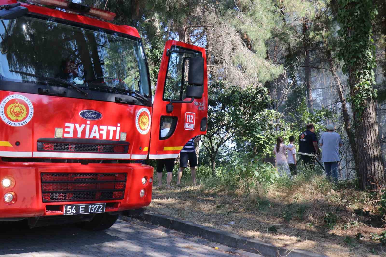 sakaryada agaclik alanda korkutan yangin 3 DqnEJg5B