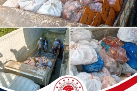 Şanlıurfa’da tır kamyonla çarpıştı: 1 ölü, 1 yaralı 2 thumbnail
