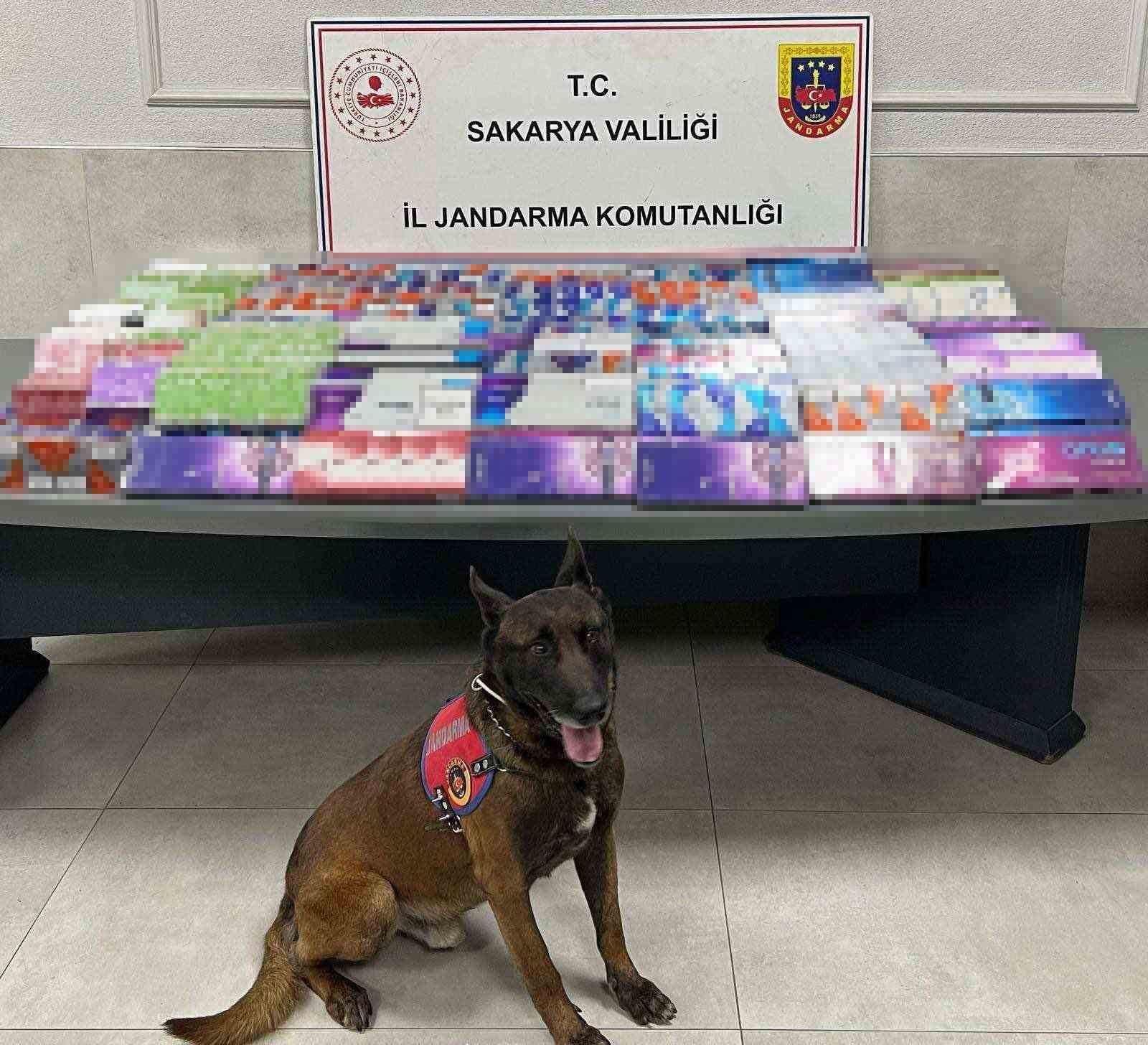 sakaryada kacakciliga jandarma izin vermiyor 0 dQvYsEfV