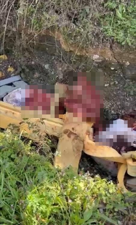 sakaryada otoyol kenarindaki kemikler jandarmayi at kasaplarina goturdu 2 W9lTNM2P