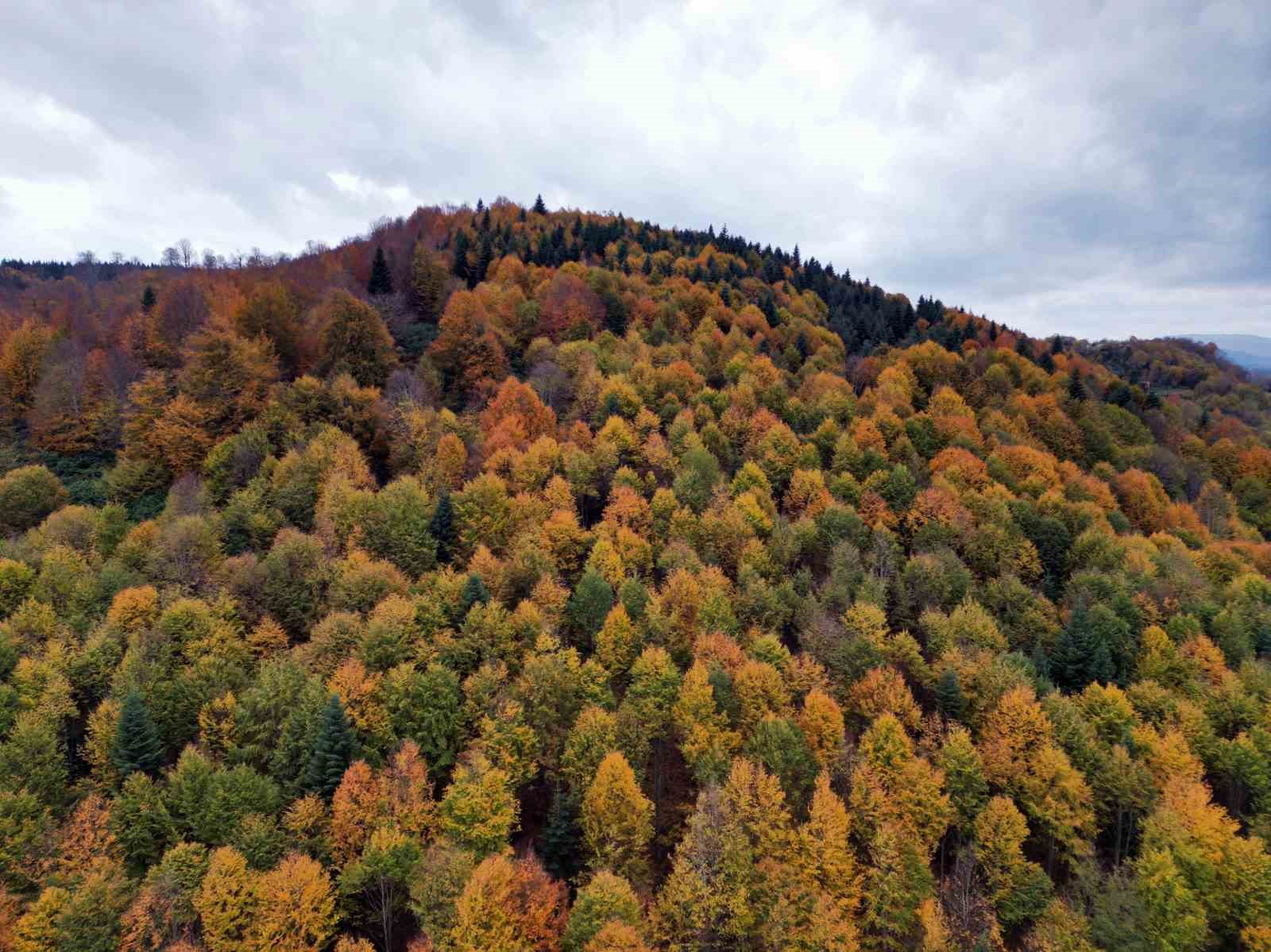 sakaryada sonbahar guzelligi goz kamastiriyor 4 n26qzRdL