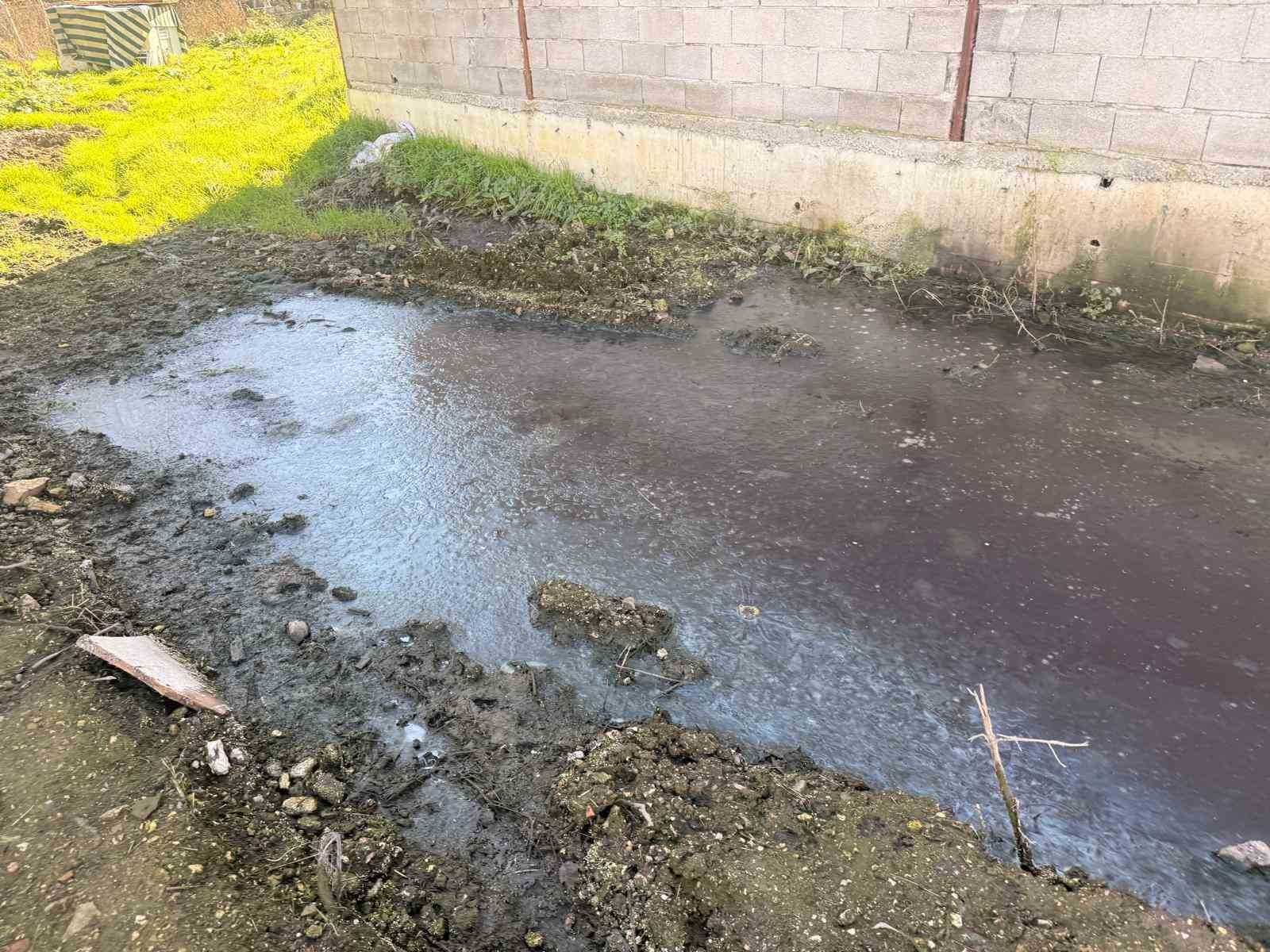sakaryada tavuk ciftligine biyoguvenlik kisitlamasi 6 iwg3lSta