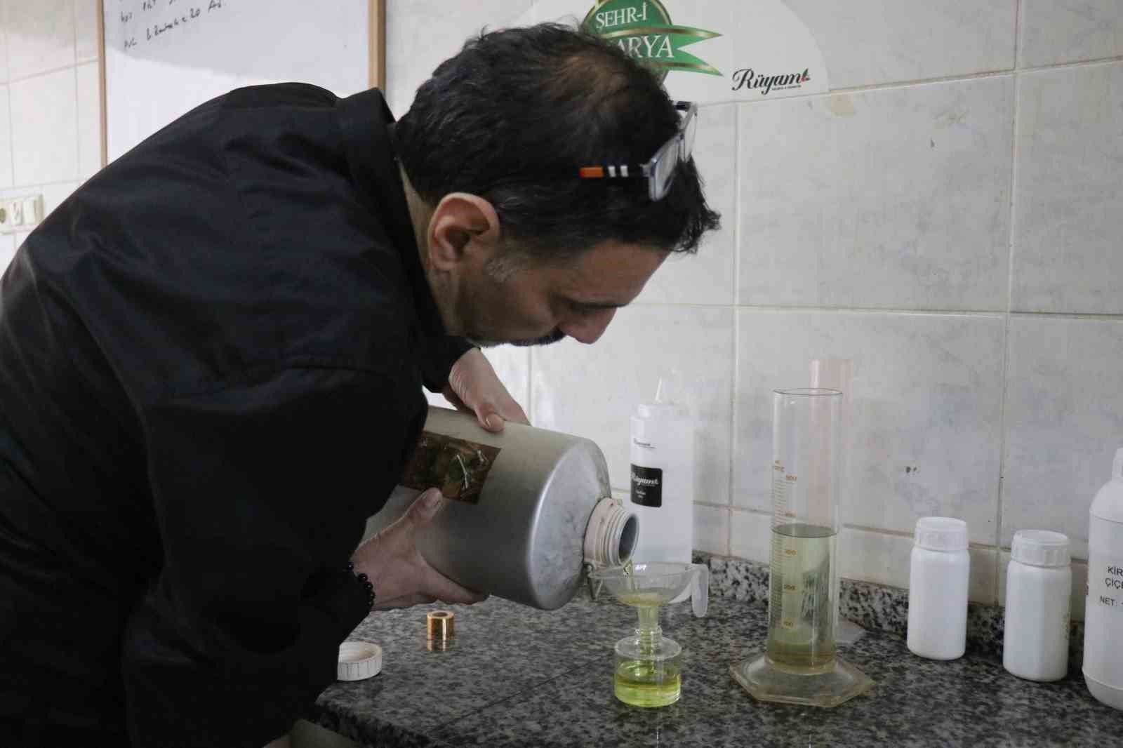 sakaryanin cicekleri siselendi kokusu dunyayi sardi 9 FqZeNMyb