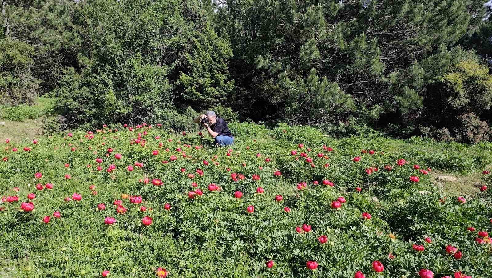 sakayiklar spil dagi milli parkini kirmiziya burudu 3 Knz5m5vJ