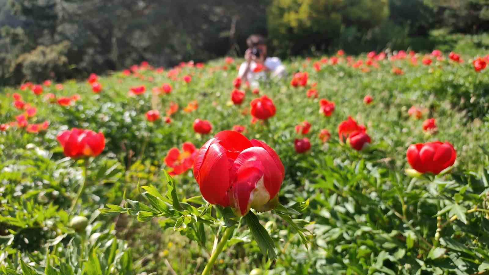 sakayiklar spil dagi milli parkini kirmiziya burudu 4 Efl6qlWv