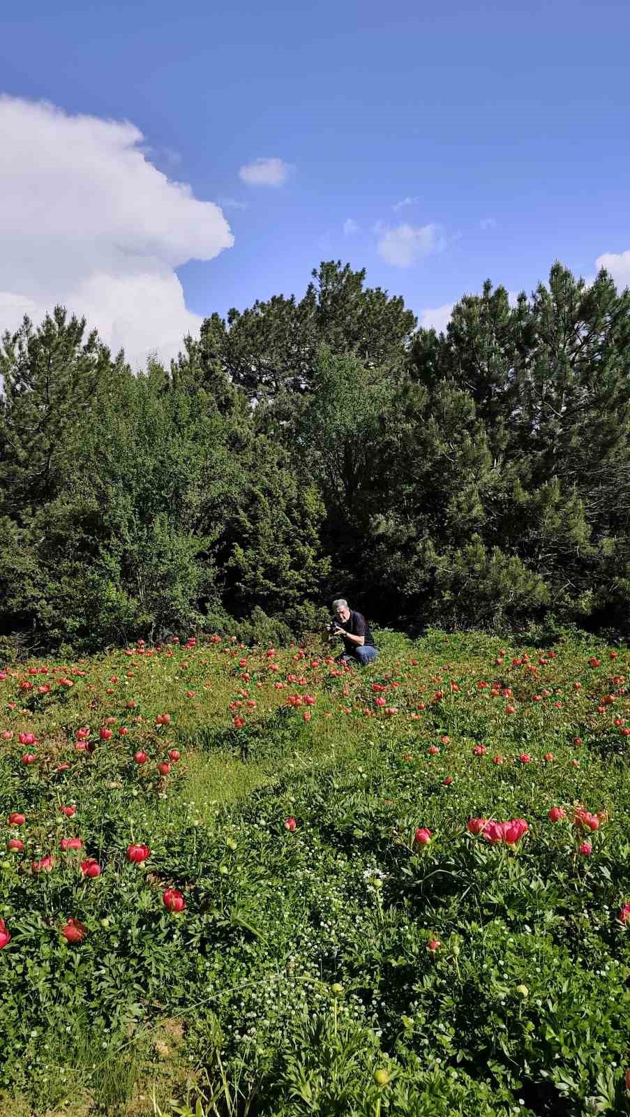 sakayiklar spil dagi milli parkini kirmiziya burudu 8 qz44e8Op