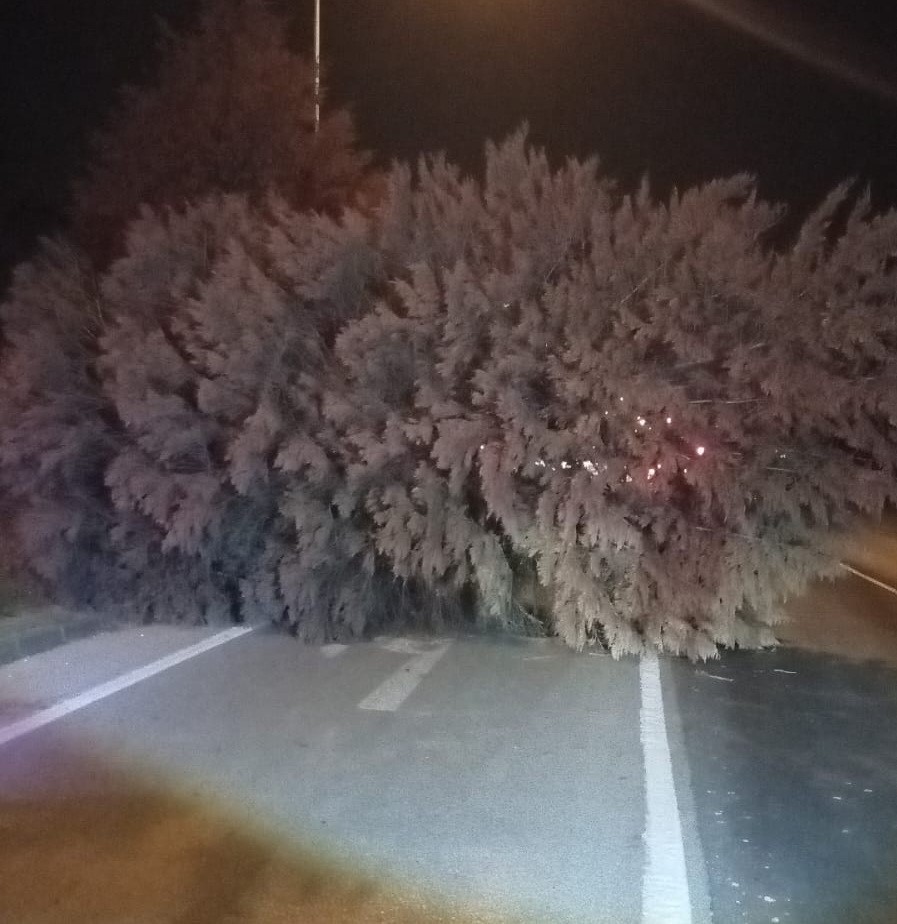 Salihli’yi fırtına vurdu: Minarenin külahı koptu, çok sayıda ağaç devrildi 21 salihliyi firtina vurdu minarenin kulahi koptu cok sayida agac devrildi 17