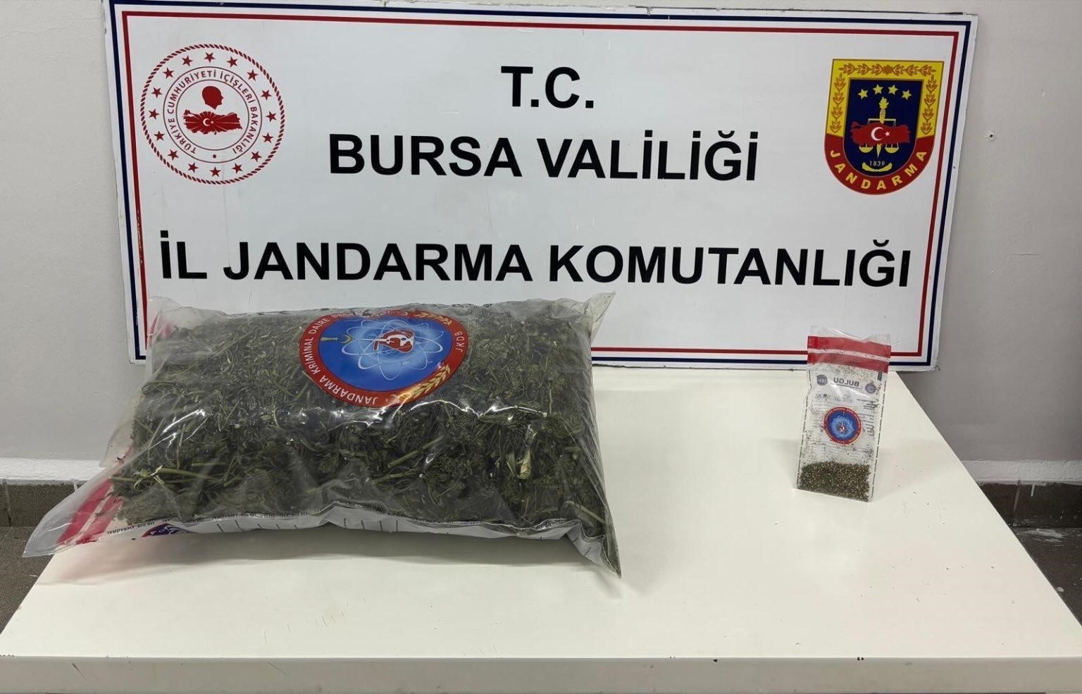 samanlikta 42 kilogram esrar ele gecirildi 1 lIeNj3J3