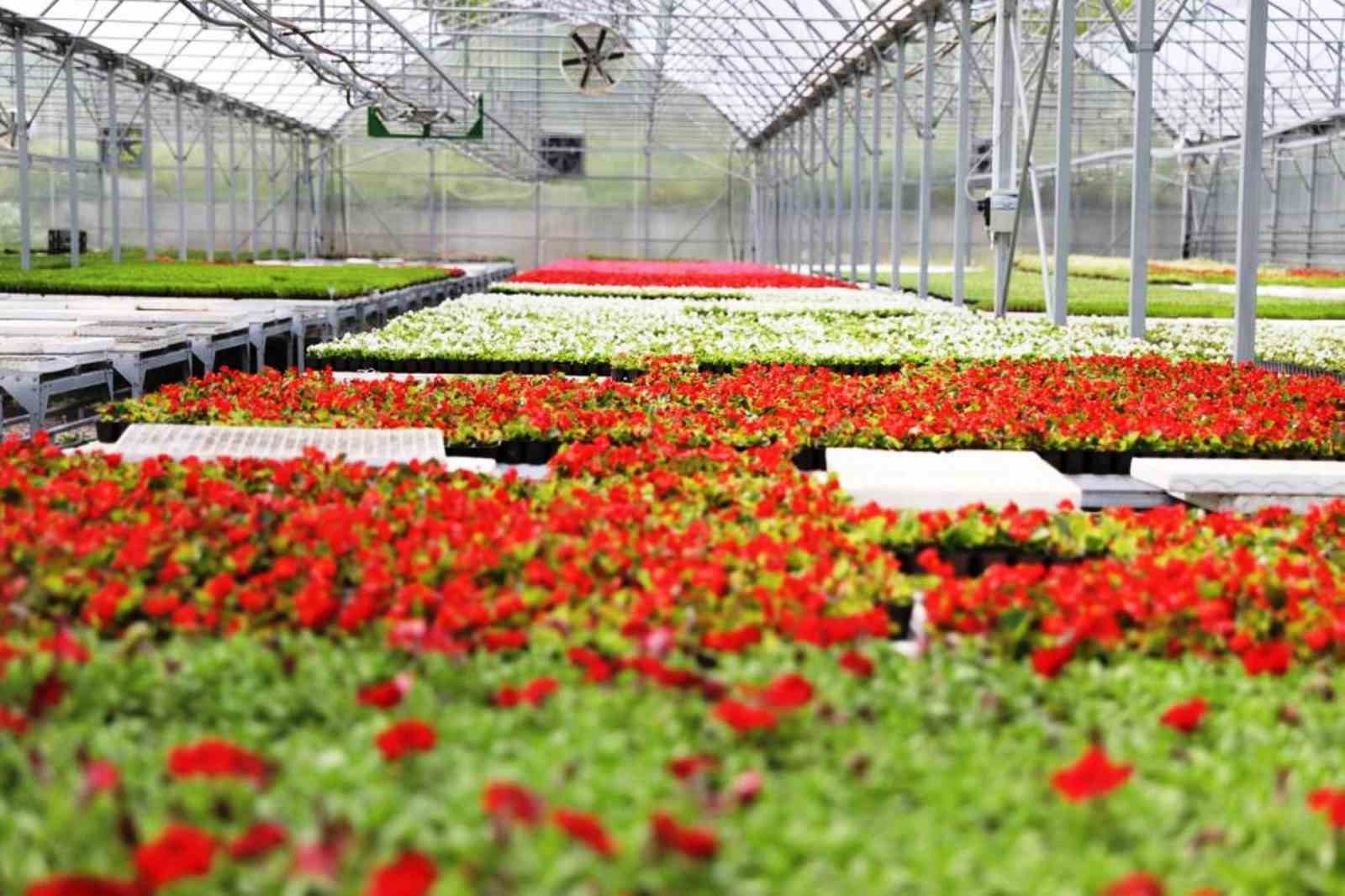 samsun buyuksehir enerjisini gunesten karsiliyor 3 aicnYKsi