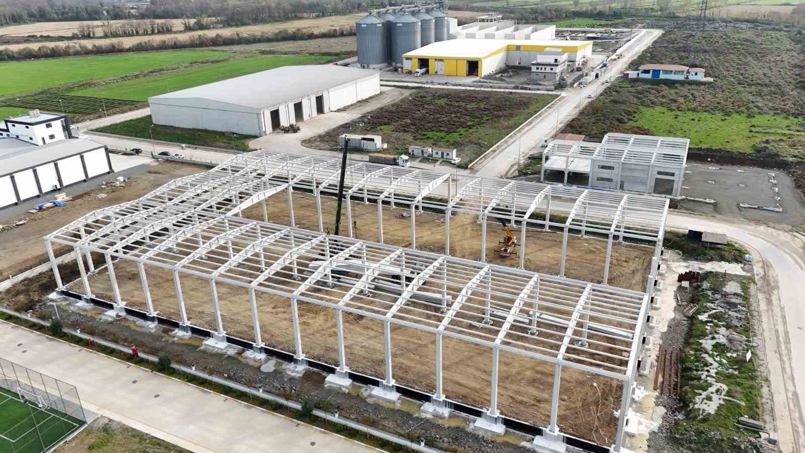 samsun gida osbden 100un uzerinde ulkeye ihracat 3 dcjIMwdk