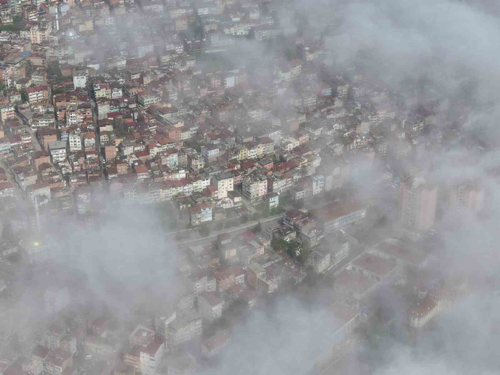 samsun sisle kaplandi 1