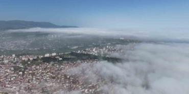 samsun-sisle-kaplandi-TlAljui7.jpg