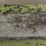 samsun-tabiat-parklarina-ziyaretci-akini-npaUzF4Q.jpg
