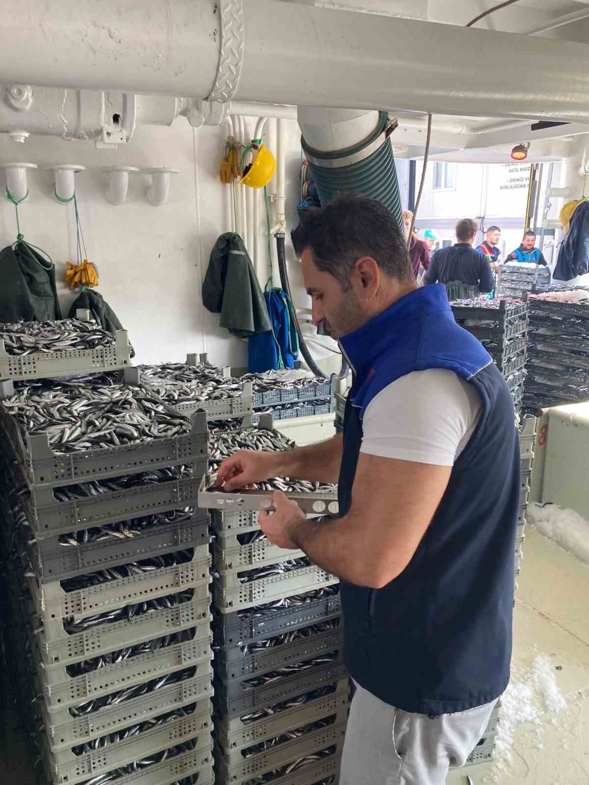 samsunda 1 milyon 843 bin 550 kilo hamsi denetlendi 1 Z9NMOh2m