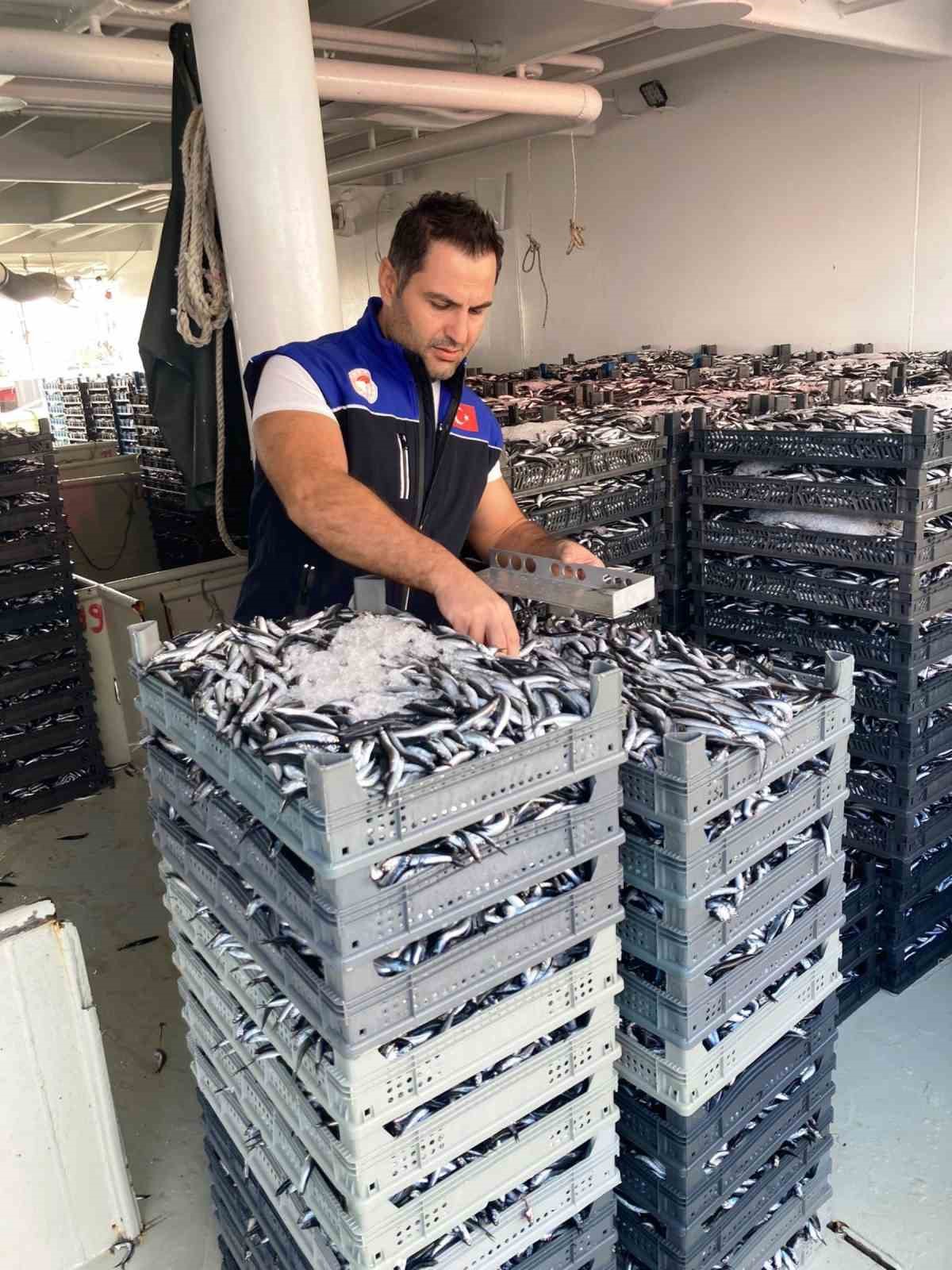 samsunda 1 milyon 843 bin 550 kilo hamsi denetlendi 4 JQE7CtYd