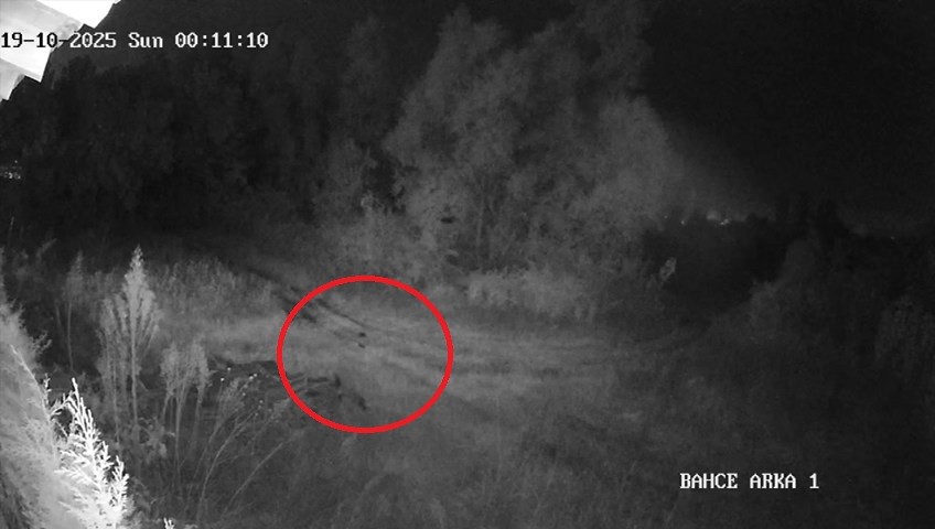 Samsun’da 2 haftadır kayıp olan genç ilçede paniğe yol açtı: Vatandaşlar tedirgin 4 samsunda 2 haftadir kayip olan genc ilcede panige yol acti vatandaslar tedirgin 0 e7UtFtbG